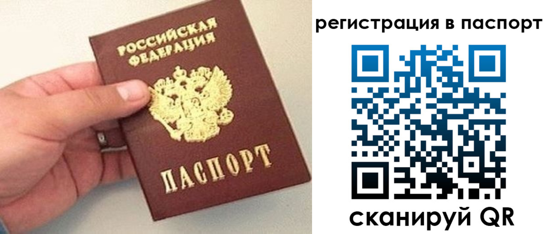 прописка законно в Бакале